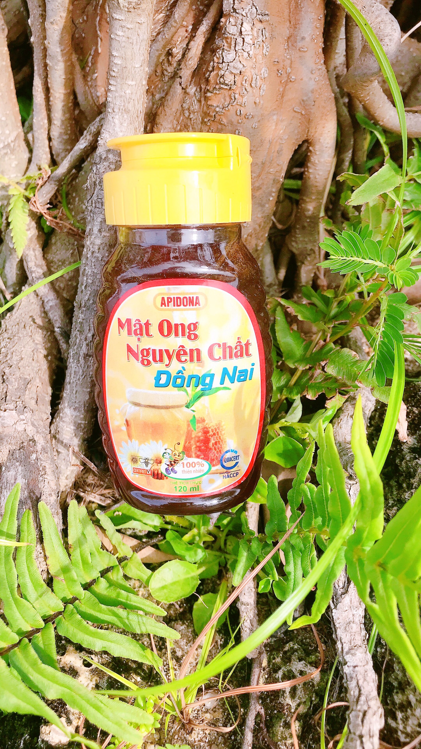 COMBO 3 LỌ MẬT ONG NGUYÊN CHẤT ĐỒNG NAI 120ML