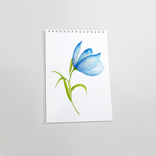 Sổ vẽ A4 vẽ màu nước và chì có vân sang giấy định lượng 260gsm nhập từ Ý, lên màu trong tự nhiên,15 tờ/cuốn MOW260 Green Art - Hàng chính hãng