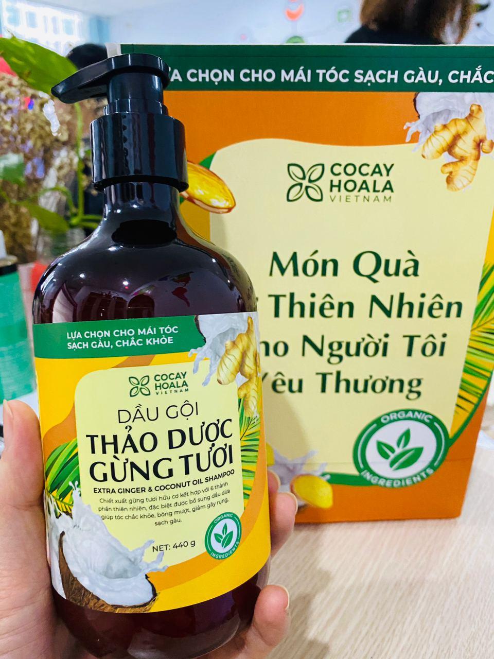 Dầu gội thảo dược gừng dừa Cocayhoala hỗ trợ trị gàu, hết ngứa, dung tích 440g-95% thành phần từ gừng tươi hữu cơ còn nguyên xơ gừng, hỗ trợ trị rụng tóc, kích thích mọc tóc vượt trội, an toàn cho mẹ bầu mẹ sau sinh