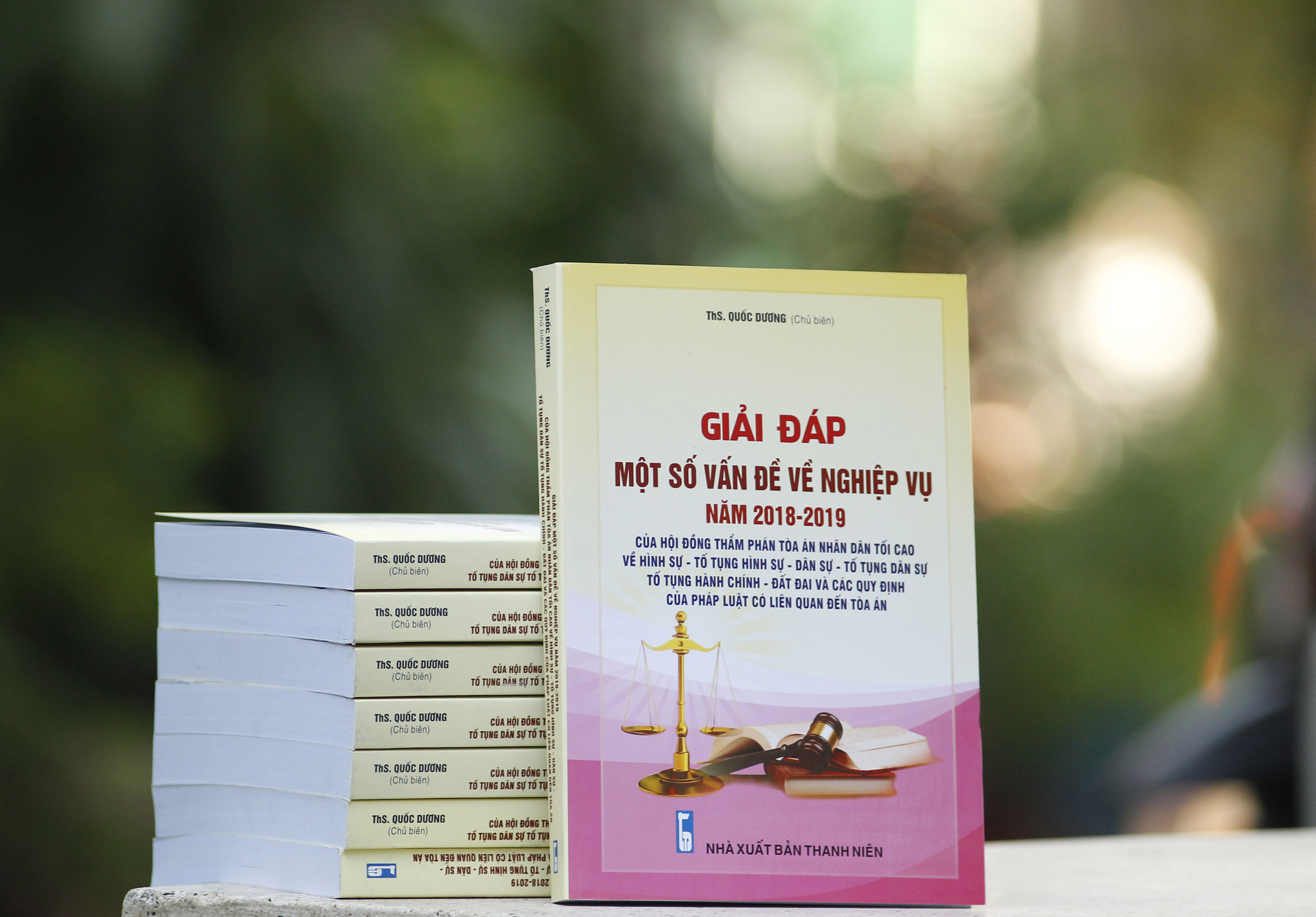 Giải đáp một số vấn đề về nghiệp vụ Năm 2018- 2019 – của Hội Đồng Thẩm phán Tòa án nhân dân tối cao về hình sự - tố tụng hình sự - dân sự - tố tụng dân sự - tố tụng hành chính - đất đai và các quy định của pháp luật có liên quan đến tòa án