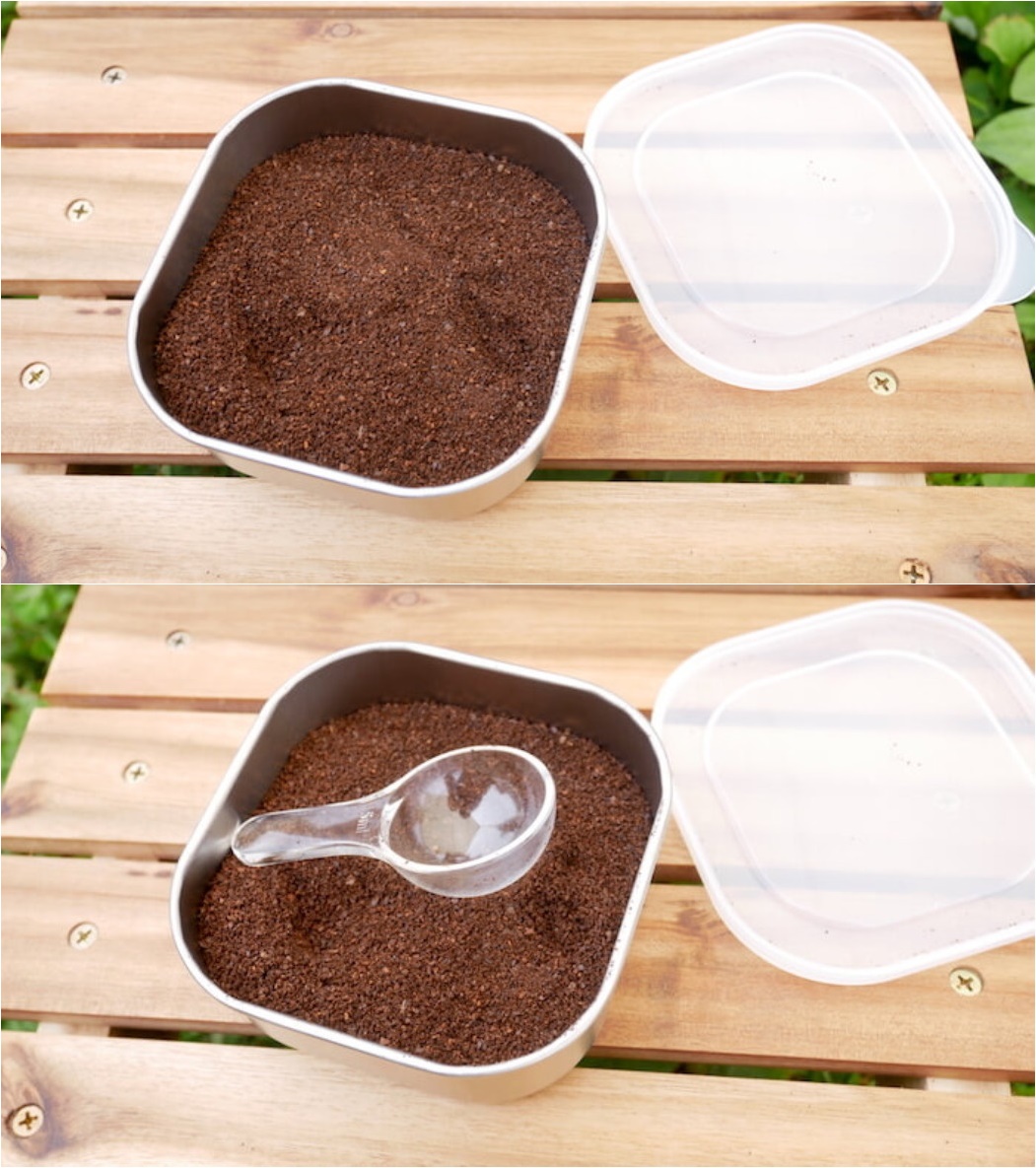 Hộp đựng thực phẩm inox có nắp đậy an toàn Echo hàng nội địa Nhật Bản