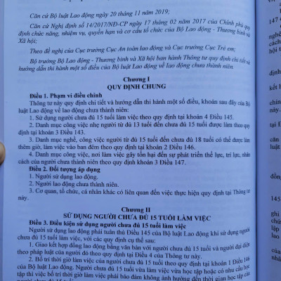 Sách Bộ Luật Lao Động – Quy Định Về Quản Lý Lao Động, Tiền Lương Và Tiền Thưởng Đối Với Công Chức, Viên Chức, Người Lao Động (V2532D)