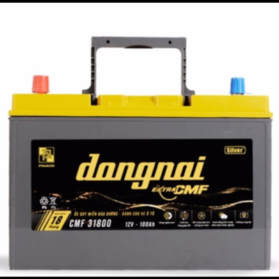 Ắc quy khô miễn bảo dưỡng Đồng Nai EXTRA CMF 31800 - 31S800 - 12V - 100Ah