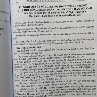 Sách Bộ Luật Dân Sự năm 2015, Bộ Luật Tố Tụng Dân Sự năm 2015 sửa đổi, bổ sung năm 2025 và Các Văn Bản Hướng Dẫn Thi Hành (V2596D)