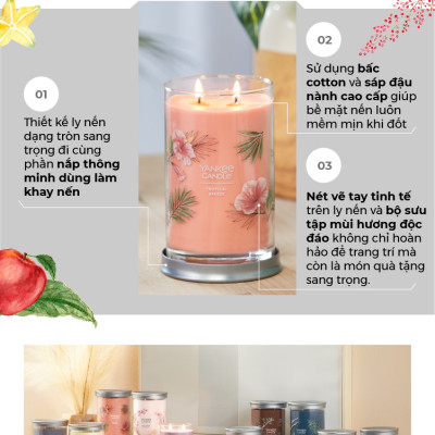 Nến ly tròn sáp đậu nành Yankee Candle size L (567g) - Balsam & Cedar