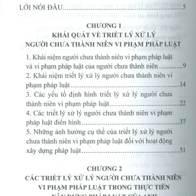 Triết Lý Xử Lý Người Chưa Thành Niên Vi Phạm Và Thực Tiễn Xây Dựng Pháp Luật Trên Thế Giới (Sách chuyên khảo) - TS. Đào Lệ Thu chủ biên