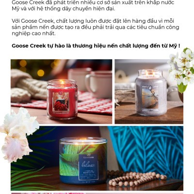 Nến ly Goose Creek (200g) - Toasty Hot Toddy