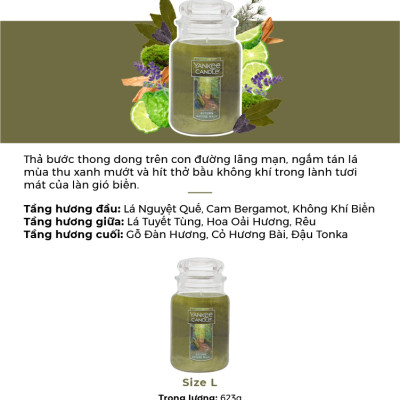 Nến hũ Yankee Candle size L - Autumn Nature Walk (623g)