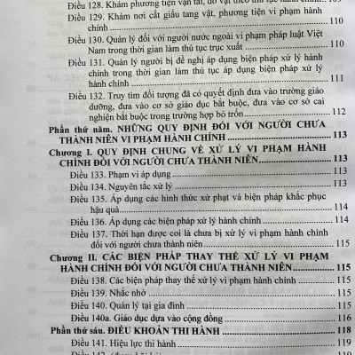 Luật Xử Lý Vi Phạm Hành Chính ( Sửa Đổi, Bổ Sung Năm 2025) Các Quy Định Chi Thiết Và Biện Pháp Thi Hành