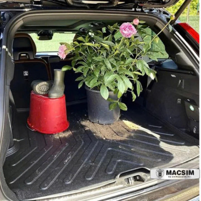 Thảm lót cốp ô tô nhựa TPU BMW X5 1999-2006 (E53) Nhãn hiệu Macsim