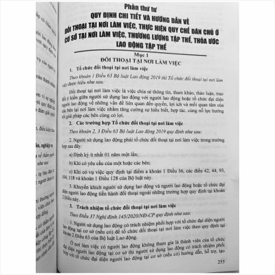 Sách Bộ Luật Lao Động Và Hệ Thống Thang Bảng Lương, Phụ Cấp, Chế Độ Tiền Thưởng Đối Với Người Hưởng Lương Làm Việc Trong Các Cơ Quan, Đơn Vị Và Doanh Nghiệp (V2458T)