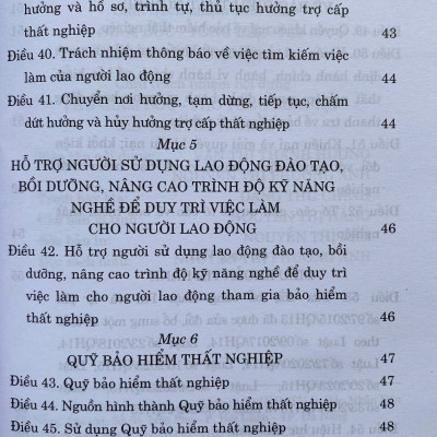 Sách Luật Việc Làm Năm 2025