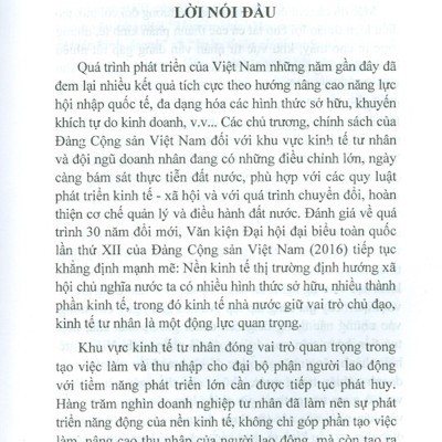 Chính Sách Khuyến Khích Khởi Nghiệp Doanh Nghiệp Của Việt Nam (Sách Chuyên Khảo)