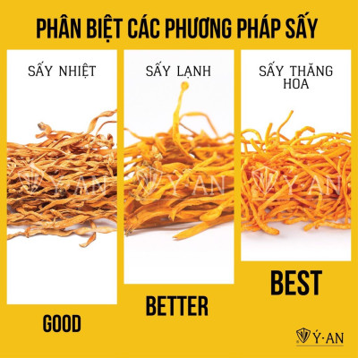 Đông trùng hạ thảo mật ong rừng Phúc Khang 300g - Hũ thủy tinh cao cấp - Công nghệ sấy thăng hoa - Chống lão hóa ,phòng ngừa ung thư ,tim mạch ,bồi bổ cơ thể ...làm quà biếu , quà tặng , bảo vệ sức khỏe