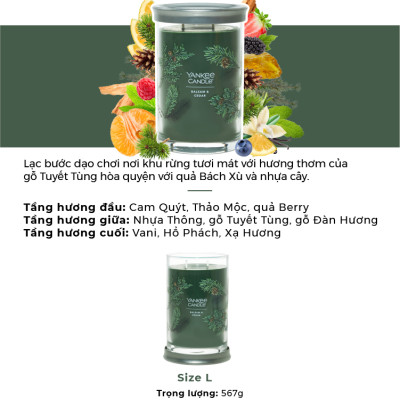Nến ly tròn sáp đậu nành Yankee Candle size L (567g) - Balsam & Cedar