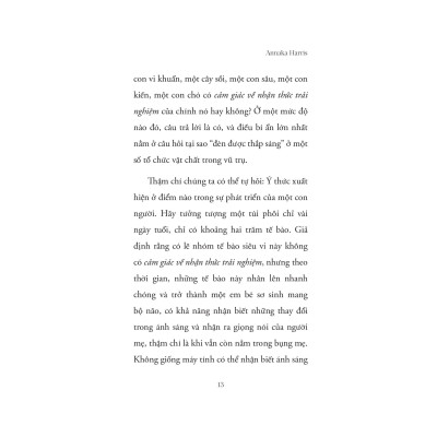 Sách - Tâm Trí - Trí Tuệ - Trực Giác