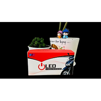 IKY OLED - THIẾT BỊ TẮT MỞ ĐÈN XE MÁY