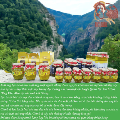 MẬT ONG BẠC HÀ VIETGAP CHÍNH HÃNG 350ML, MẬT ONG BẠC HÀ PO MỶ OCOP HÀ GIANG NGUYÊN CHẤT