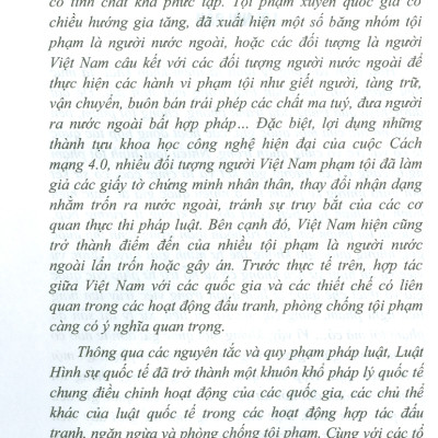 Luật Hình Sự Quốc Tế (Sách chuyên khảo)