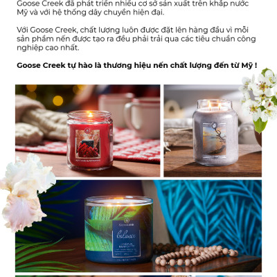 Nến ly 3 bấc sáp đậu nành Goose Creek (411g) - Lavender Vanilla