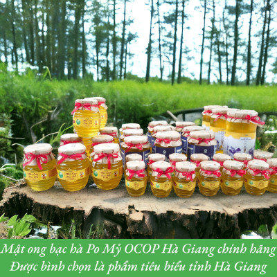 MẬT ONG BẠC HÀ OCOP HÀ GIANG CHÍNH HÃNG 1 LÍT, MẬT ONG PO MỶ ĐẶC SẢN CAO NGUYÊN ĐÁ HÀ GIANG