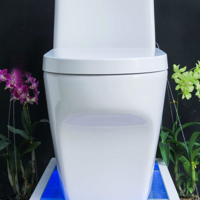 Bồn cầu 1 khối cao cấp tiêu chuẩn xuất Châu Âu, men Nano tuyết bóng sáng, nắp đóng siêu êm, 2 chế độ xả Eurolife EL-LUX 033 (Trắng)