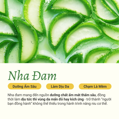 Gel Dưỡng Ẩm Thuần Chay Nha Đam Heebee