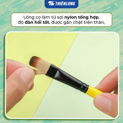 Bộ 5 Cọ vẽ màu nước đầu Round/ Flat/ Filbert Thiên Long Colokit