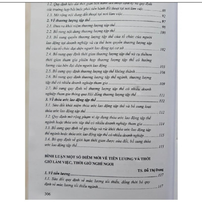 Sách - Bình luận những điểm mới của Bộ luật lao động năm 2019