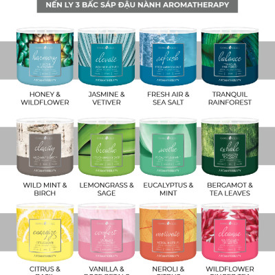 Nến ly 3 bấc Aromatherapy Goose Creek (411g) - Eucalyptus & Mint