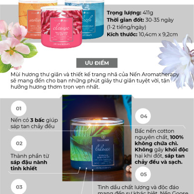 Nến ly 3 bấc Aromatherapy Goose Creek (411g) - Citrus & Basil