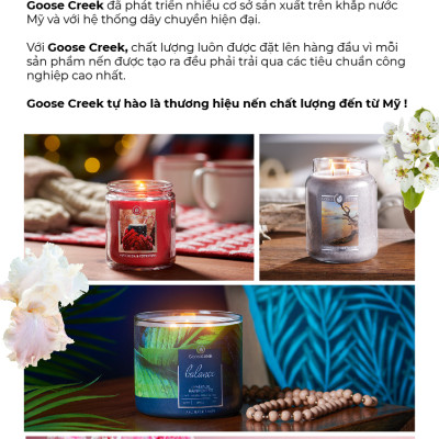 Nến ly 3 bấc Aromatherapy Goose Creek (411g) - Eucalyptus & Mint