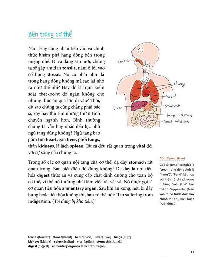 Tôi Muôn Giỏi Tiếng Anh Nhưng Tôi Không Muốn Chăm Chỉ