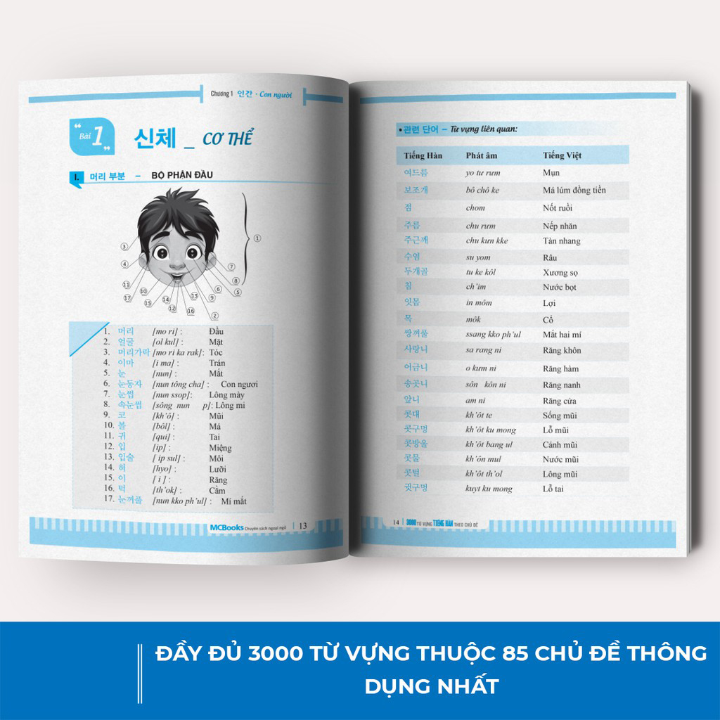 Combo Sách Tiếng Hàn Bỏ Túi ( Ngữ Pháp Tiếng Hàn Bỏ Túi + 3000 Từ Vựng Tiếng Hàn Theo Chủ Đề )