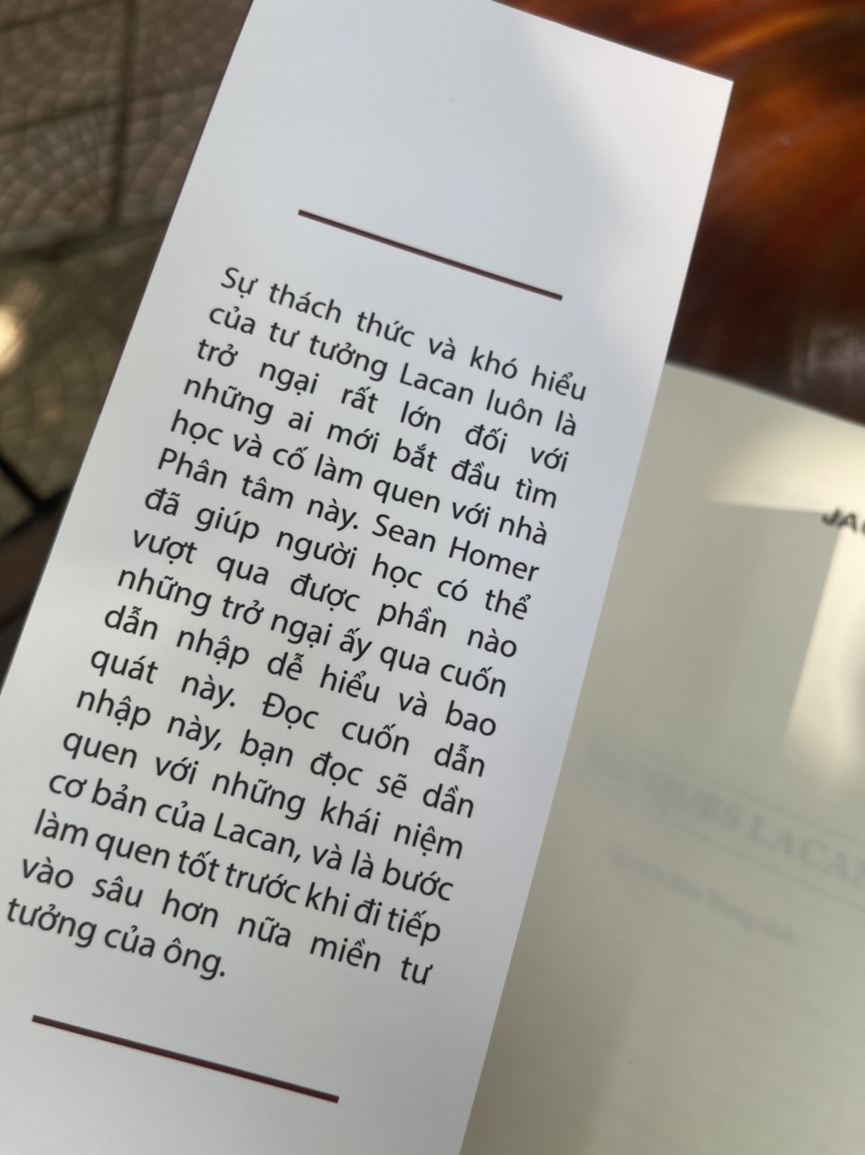 (Tuyển tập Các nhà Tư tưởng Trọng Yếu) (Combo 2 cuốn) JACQUES LACAN (bìa mềm) và MICHEL FOUCAULT (bìa cứng) - Sean Homer và Sara Mills - Nguyễn Bảo Trung dịch – Khaiminhbook – NXB Dân trí