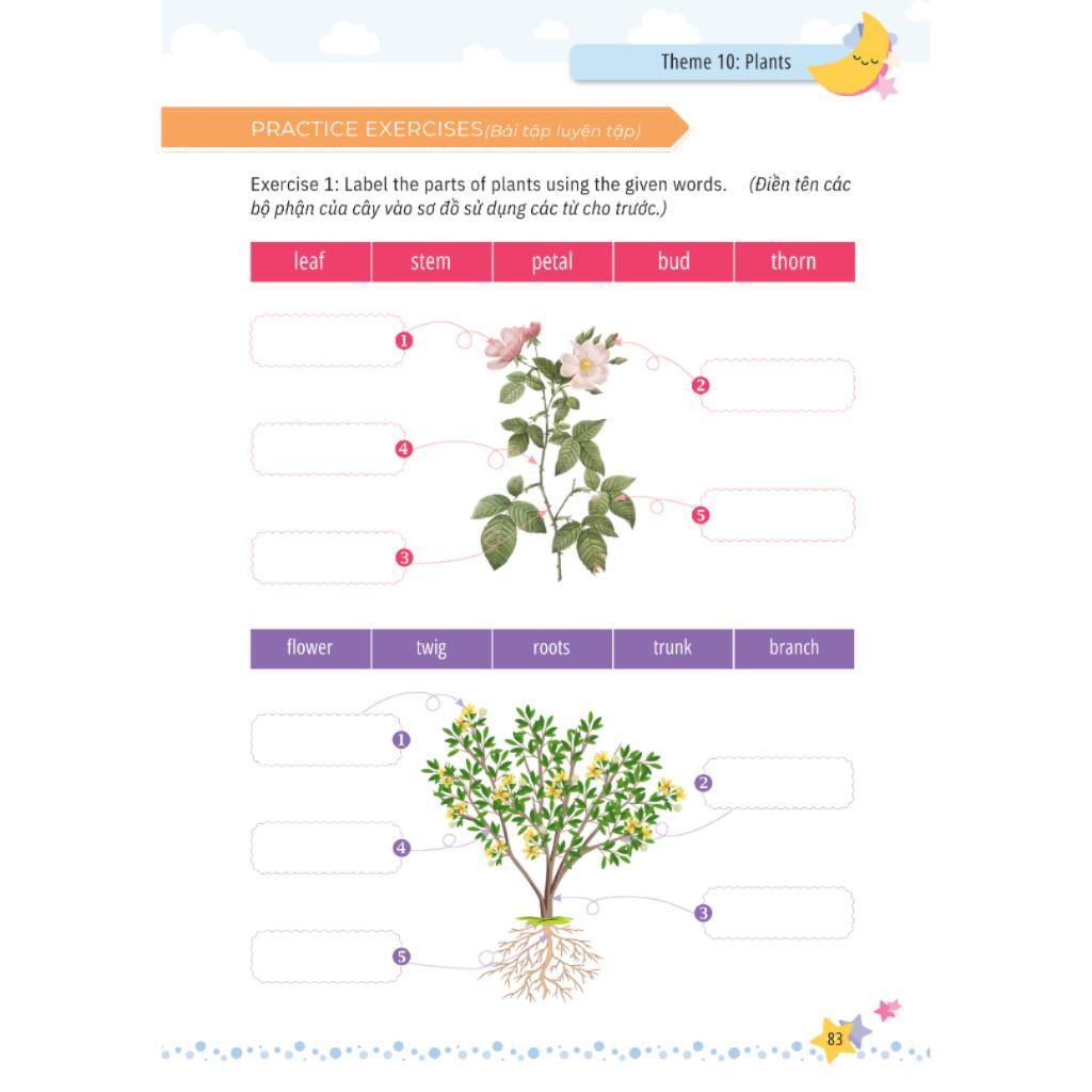 Sách - Mindmap Từ Vựng Tiếng Anh Cho Học Sinh Tiểu Học - MCBooks