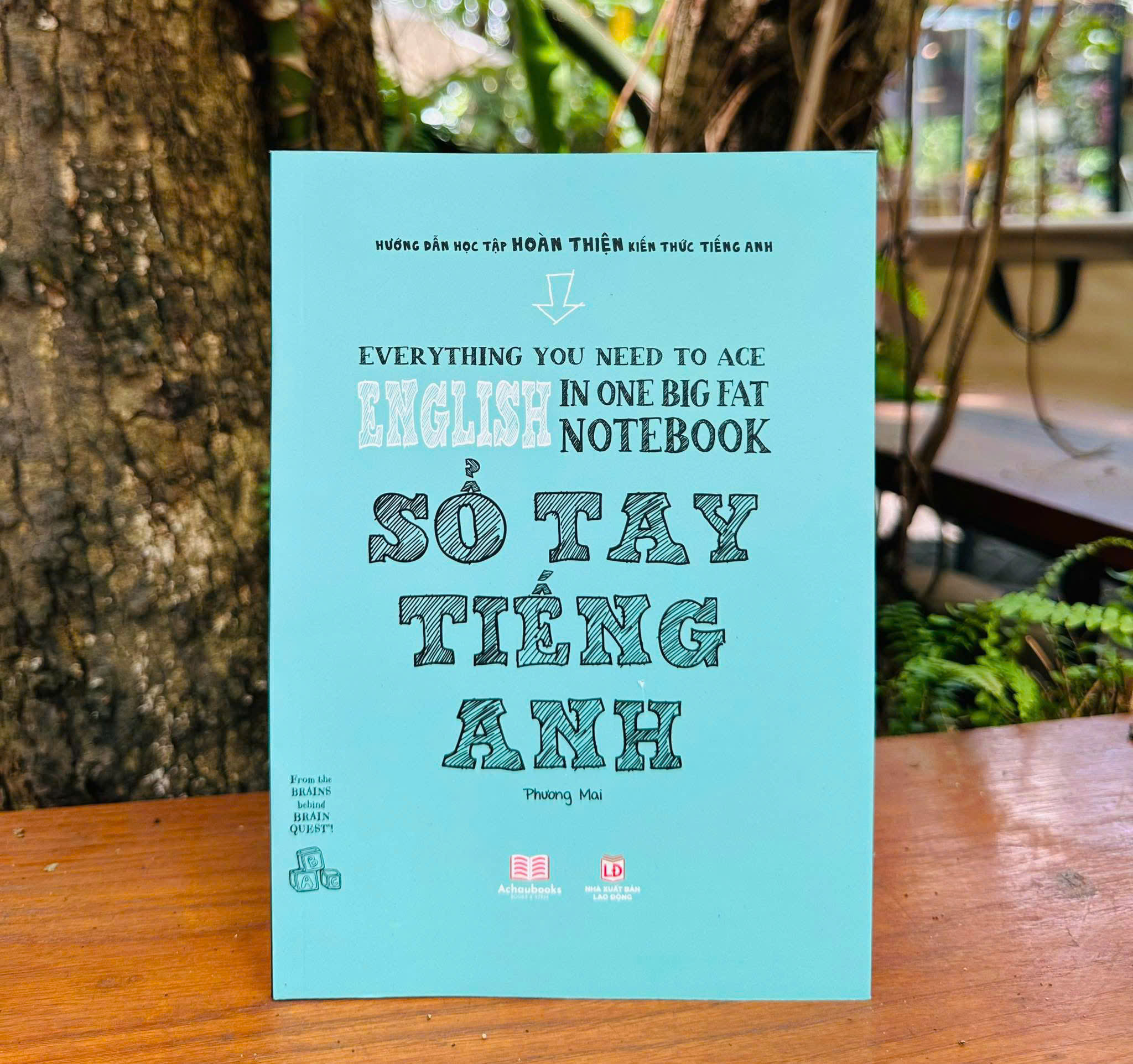 Sách - Sổ tay tiếng Anh - Everything You Need To Ace English In One Big Fat Notebook