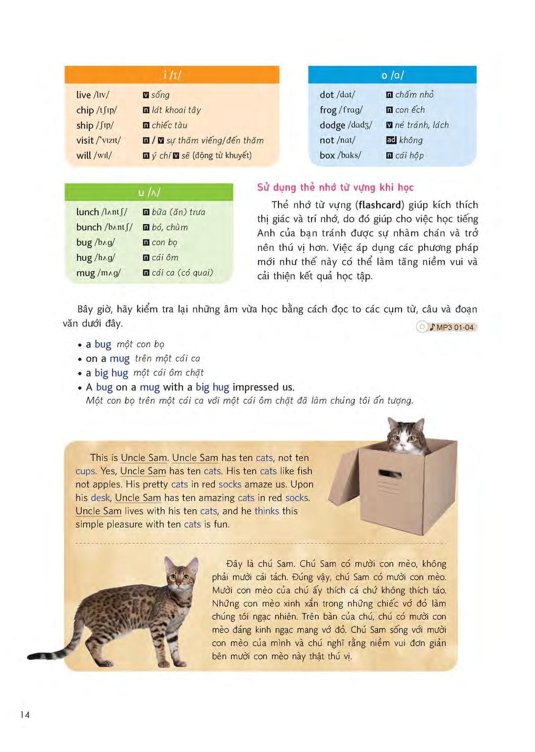 Sử Dụng Tiếng Anh Hiệu Quả Qua 15 Chủ Đề Thông Dụng (Kèm file MP3)