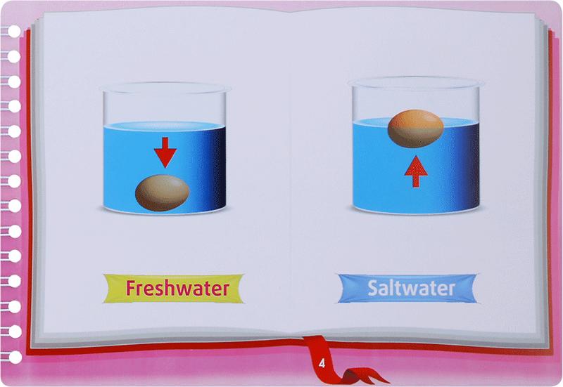 Những Cặp Từ Vựng Trái Nghĩa Và Trò Chơi Ghép Chữ - Opposite Words In Pictures (Tập 3)