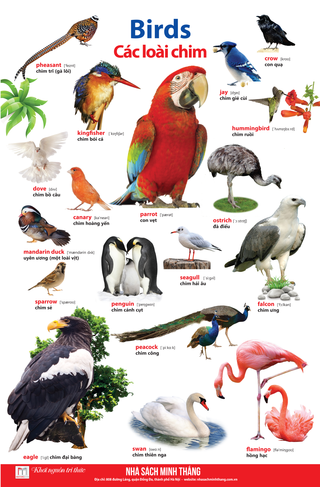 Learing English By Pictures - Học Tiếng Anh Bằng Hình Ảnh - Tập 1 (Tái Bản)
