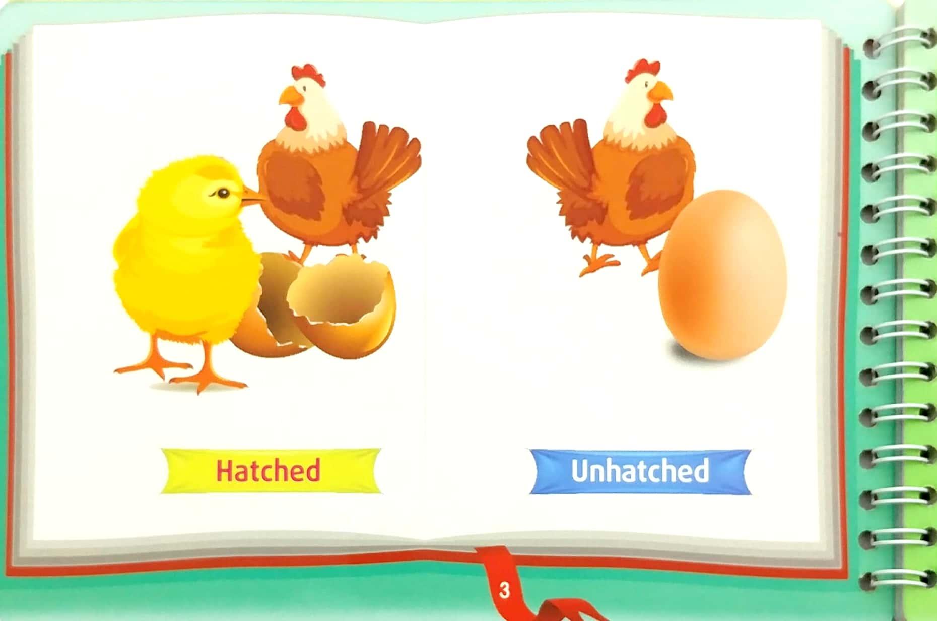Những Cặp Từ Vựng Trái Nghĩa Và Trò Chơi Ghép Chữ - Opposite Words In Pictures (Tập 2)