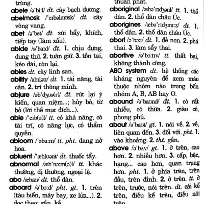 Từ Điển Anh - Việt 80.000 Từ (Tái Bản)