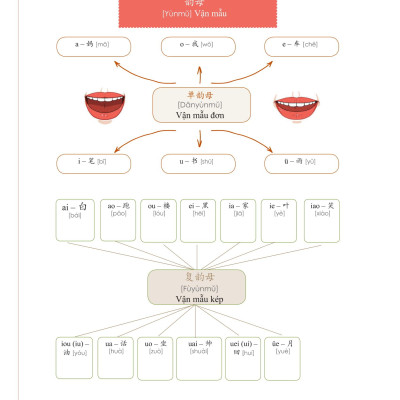 Học Nhanh Nhớ Lâu 1500 Từ Vựng Tiếng Trung Thông Dụng