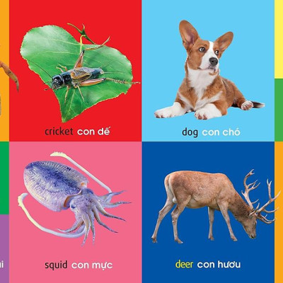 101 Từ Đầu Tiên: Động Vật (Tái Bản 2021)