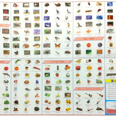 Từ Vựng Tiếng Anh Bằng Hình Ảnh