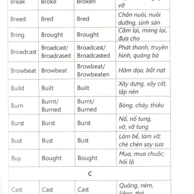 Chinh Phục Từ Vựng Và Ngữ Pháp Tiếng Anh (Dành Cho Người Mới Bắt Đầu - Sbooks) 