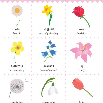 Cẩm Nang Từ Vựng Tiếng Anh Cho Trẻ Em (MEGA)