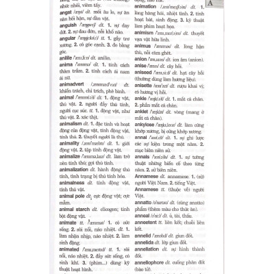 Từ Điển Anh - Việt 100.000 Từ - Vanlangbooks