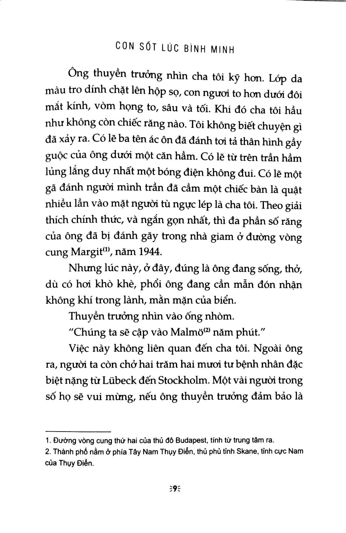 Cơn Sốt Lúc Bình Minh