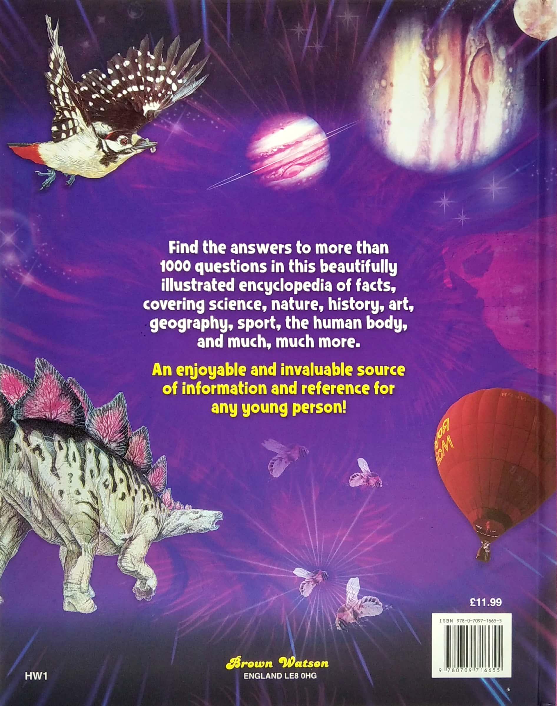 The Big Book Of How, When And Why?